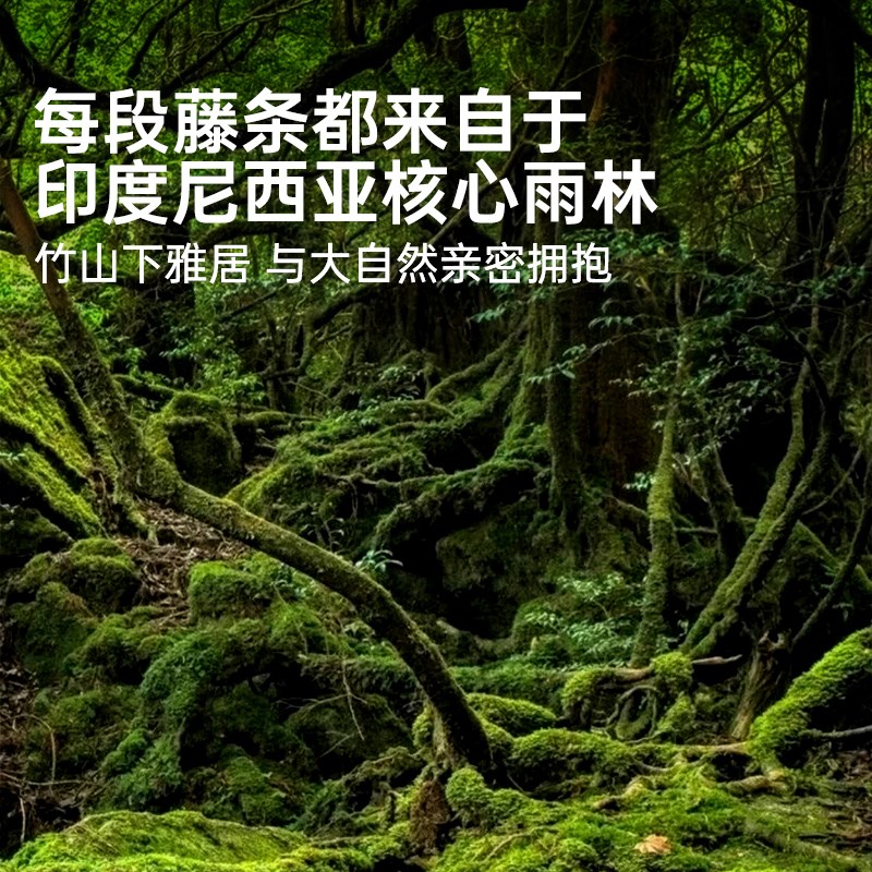 天然真藤椅子阳台家用休闲老人可睡觉摇摇躺椅2025新款逍遥椅