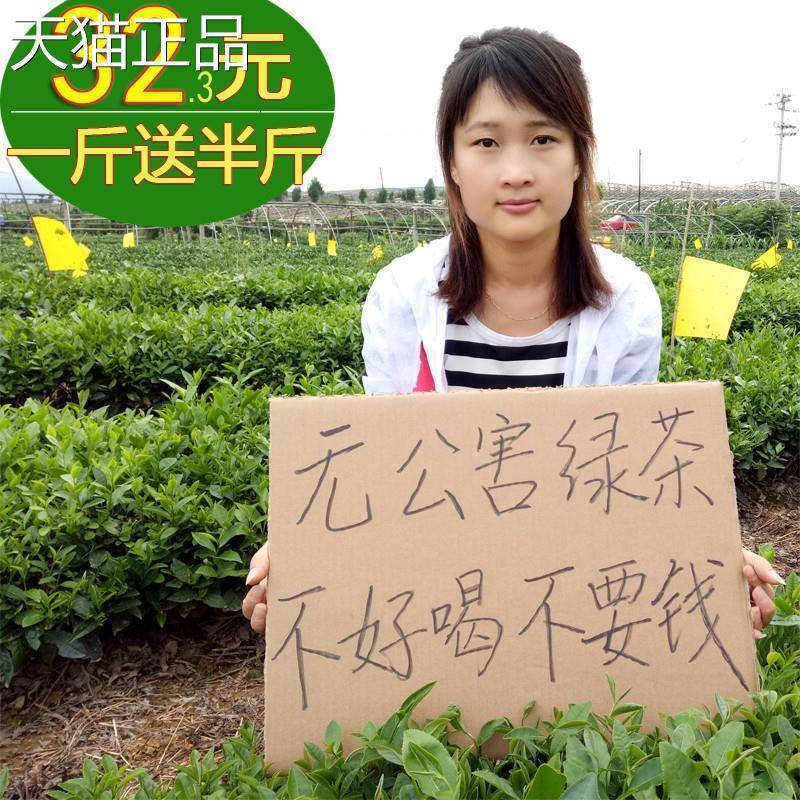 【一斤半】古城春绿茶品茶精选茶250克x3包春茶高山云雾茶茶叶