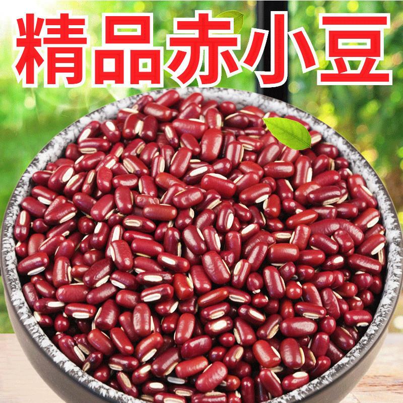 正宗新货赤小豆长粒红豆赤