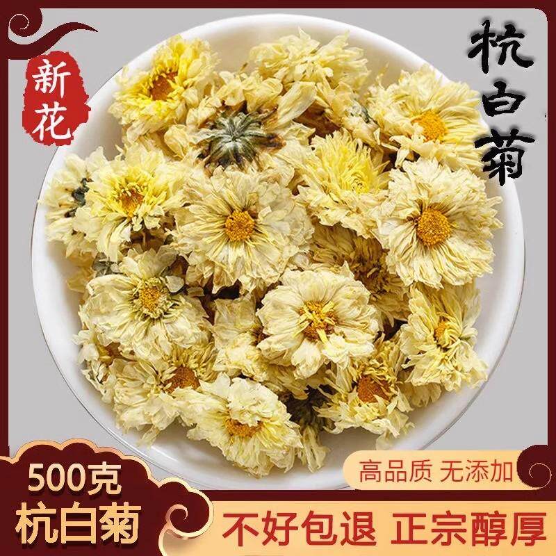 新日期正宗杭白菊500g新货杭州菊花茶 桐乡杭菊特级散装白菊花另