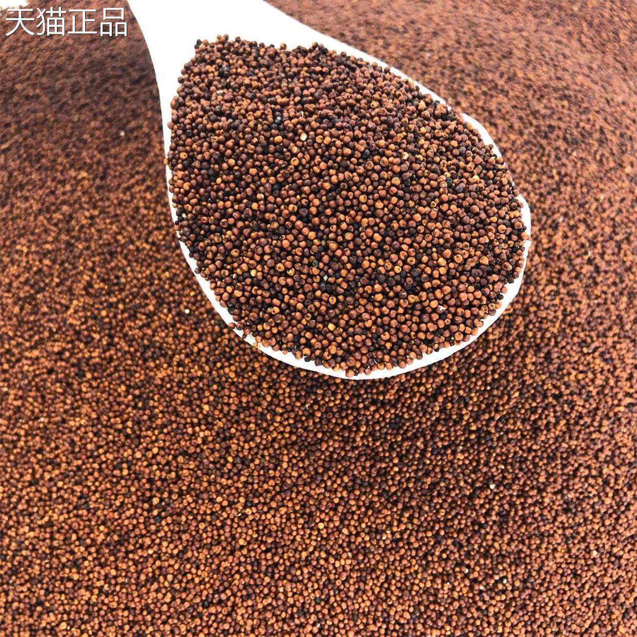广西粟米粒龙爪粟拳头粟小枕头鸭脚粟米粥鸭脚栗米红色粟米粉