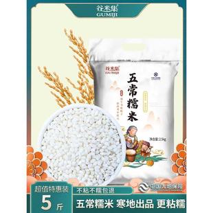 新货谷米集东北糯米新米5斤农家一级圆糯米白江酿糯米
