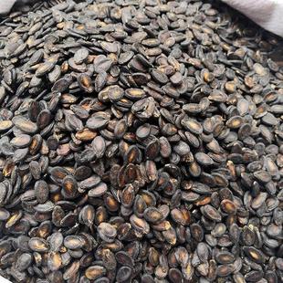 新货小片生西瓜子安庆宿松特产许岭马陵打瓜子黑西瓜子包邮