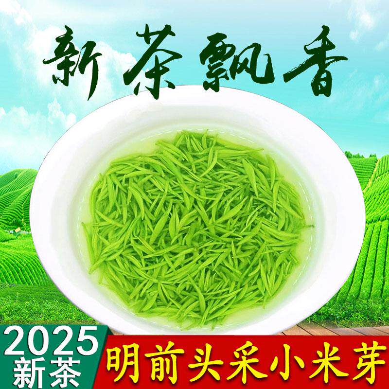 新日期信阳毛尖2025新茶明前特级嫩芽手工头采贡品小米芽高