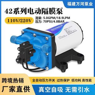 输送增压泵房车隔膜泵 110V高效自吸泵高扬程18升大流量液体灌装
