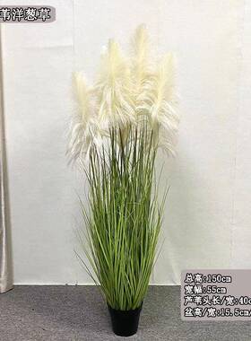 仿真秋色芦苇草绿色洋葱草植物盆栽森系家居落地狗尾巴草