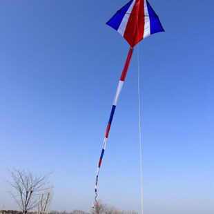 王侉子潍坊冲天追544伞布风筝大人专用高档大型微风易飞风筝儿童