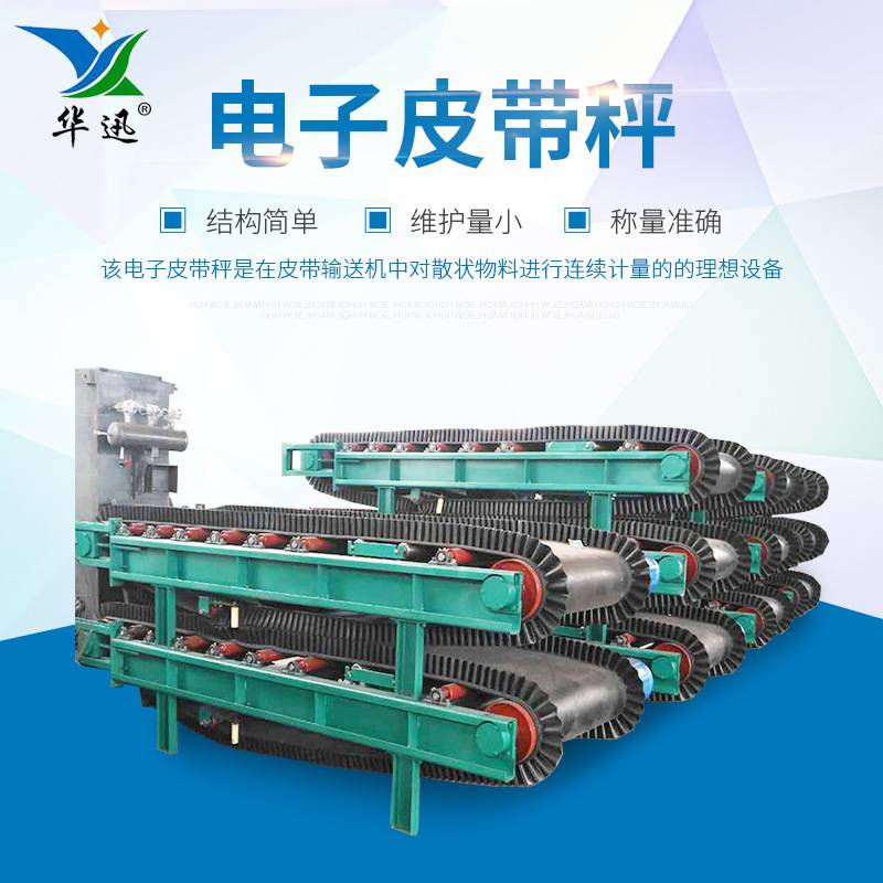 定量给料皮带秤 工厂供应称重给煤机高精度电子皮带秤 计量皮带秤