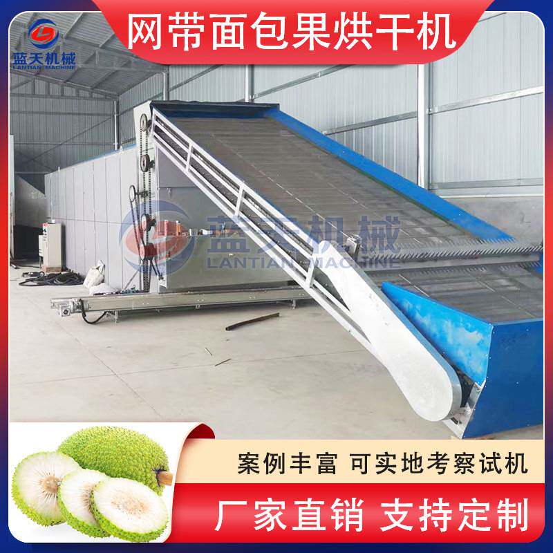 网带面包果烘干机 菠萝蜜罗蜜树国烧颗粒干燥机 面包果片烘干设备