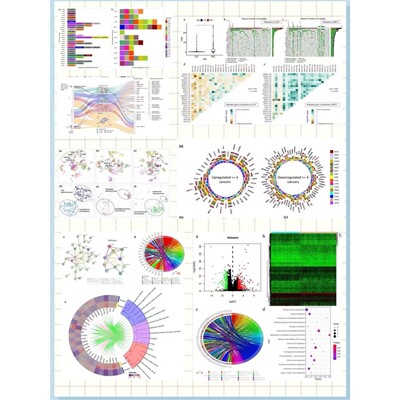 生信分析 医学影像组学  PET-CT/CT/ECT  转录组 网络药理学