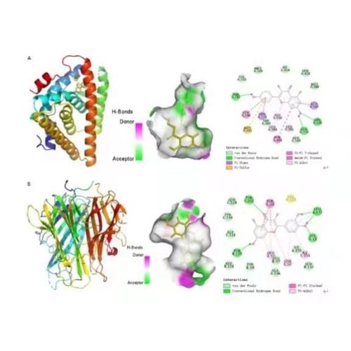 分子对接方法:autodock薛定谔 moe 金属离子.供价,柔性分子对接