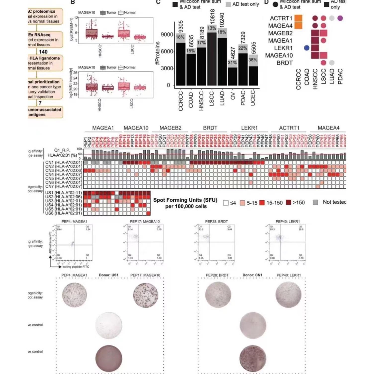 生信分析数据测序教学生信指导服务辅导预后模型geo tcga挖掘咨询