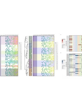 scRNAseq/stRNAseq/单细胞转录组/拟时序/CCI/细胞相互作用
