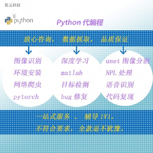 Python深度学习遥感医学图像识别目标检测语义分割代编程调试爬虫