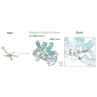 蛋白质相互作用分析-蛋白质复合体预测