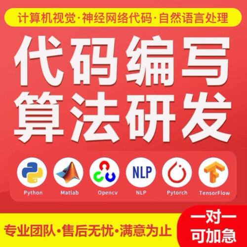 python代编程深度学习算法创新数据可视化代码调试指导答疑定制