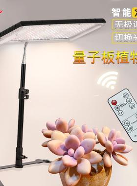 智能量子板植物灯调光遥控定时低压家用绿植多肉全光谱生长补光灯