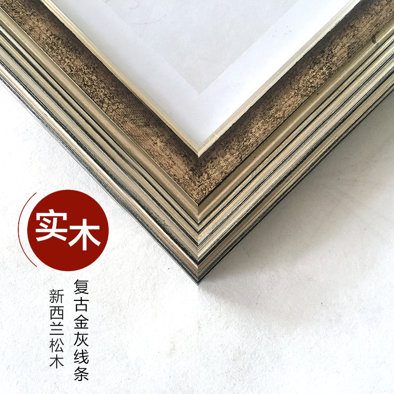 美式复古装饰画现代简约客厅挂画玄关书房卧室画黑白树达尔文笔记图片