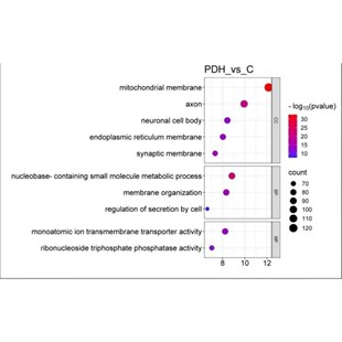细胞器叶绿体线粒体动植物基因组组装与注释分析实操组学生信分析