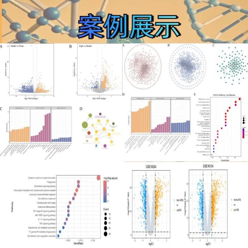 生信分析单细胞测序转录组TCGA GEO数据库挖掘分析生信服务