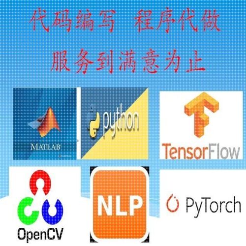 python深度学习算法代做跑编程序接单服务代码指导编写调试
