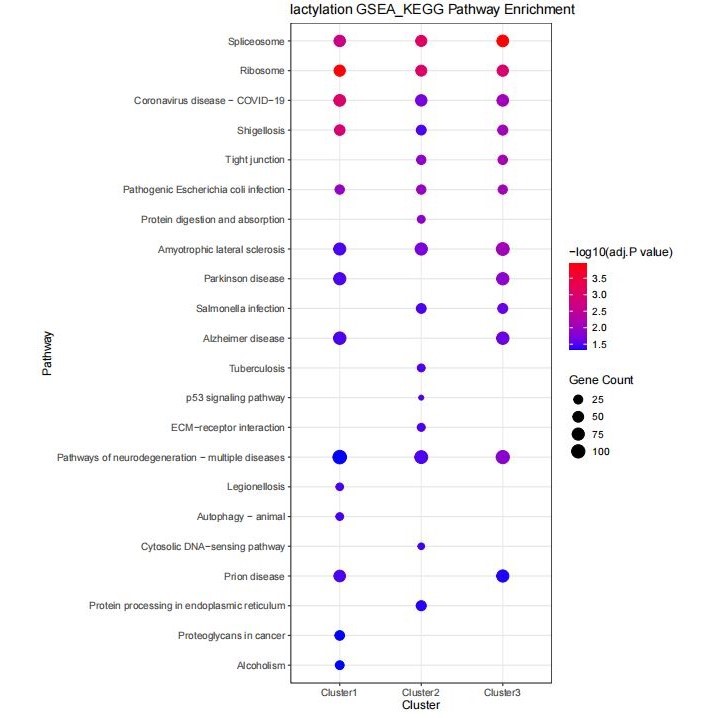 生信分析辅导GBD/NHANES/CHARLS数据挖掘医学sci发文