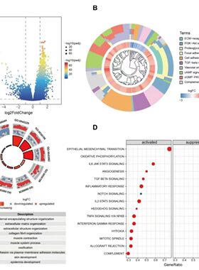 个人】r语言画图生信医学 生物信息生命科学作图生存分析实证报告