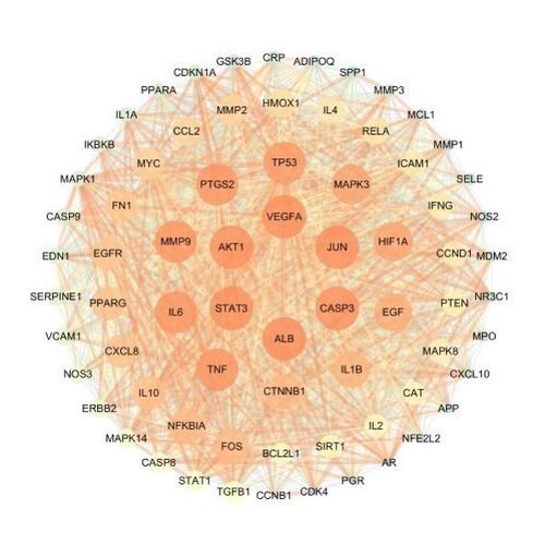 网络药理学专业代做 cytoscape作图 GO/KEGG富集 PPI网络