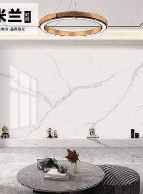 电视简约客厅墙连大板现代12u00x2400板背景瓷砖岩纹玄关地砖别墅