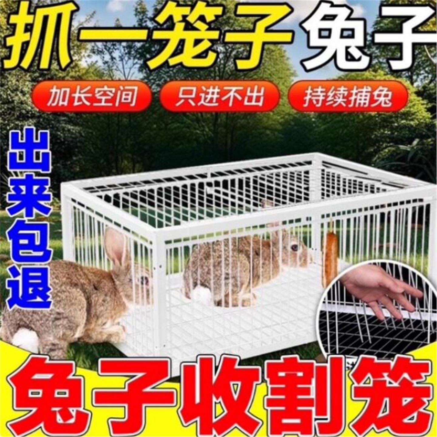 野外抓兔子神器天落笼户外家用屋顶只进不出鸽子笼活络撞门信鸽自