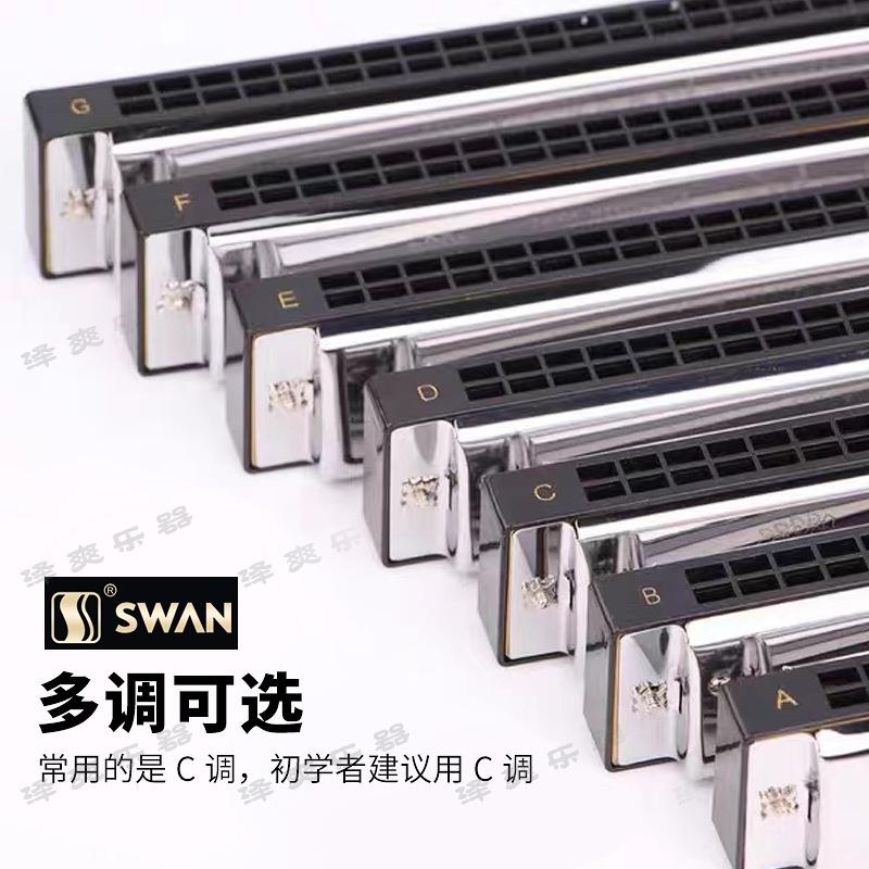 天鹅24孔复音C调口琴初学者儿童成人A/B/D/E/F/G#降调级