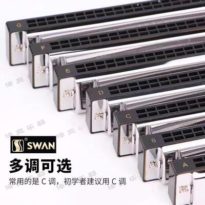 天鹅24孔复音C调口琴初学者儿童成人A/B/D/E/F/G#降调级