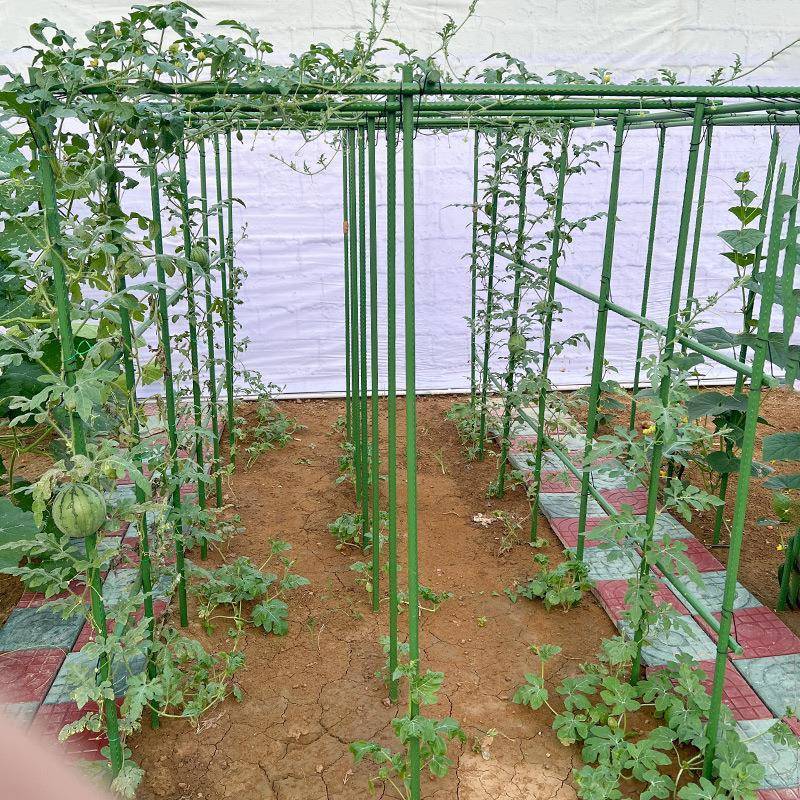 黄瓜豆角爬藤架葡萄架子四季豆花架庭院户外支撑丝瓜架植物支撑杆
