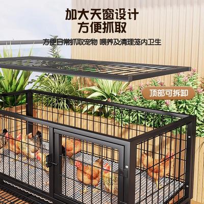 鸡笼子家用室外大号方管防雨室内农村自动清粪鸡鸭鹅养殖笼鸽子笼