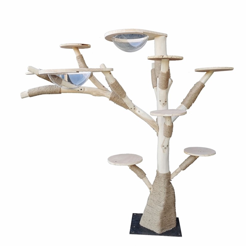 实木猫爬架耐磨不粘毛原木枯树干大型窝抓板爬树宠物玩具跳台一体