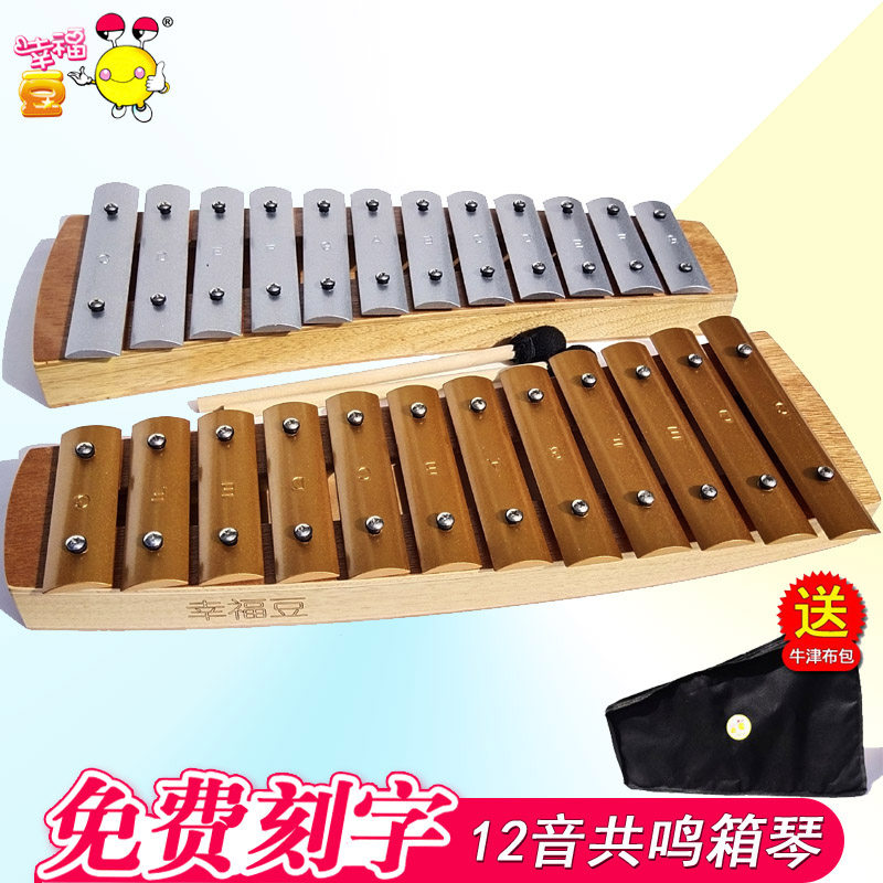 小学生12d音学生敲琴20音铝片琴回音箱共鸣底座8音铝板琴音条乐器