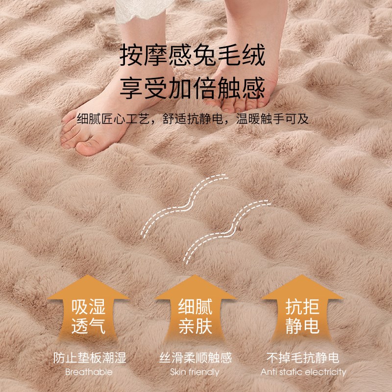 地毯卧室床边毯2024新款高级感客厅沙发茶几家用房间床前毛绒地垫
