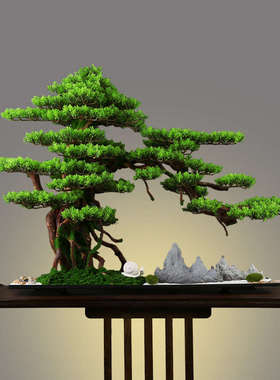 迎客松盆景真树新中式仿客厅玄关入户酒店软装饰办公室微景观摆件