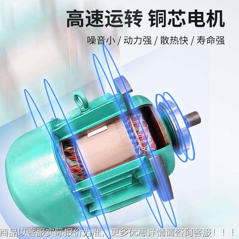 单双速丝钢绳电动葫芦1吨CD1 0.5T吊机小型升电动起重机20V2降机