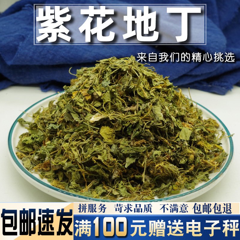 紫花地丁500克中药材当季新货新品干货 熏泡紫花地丁水
