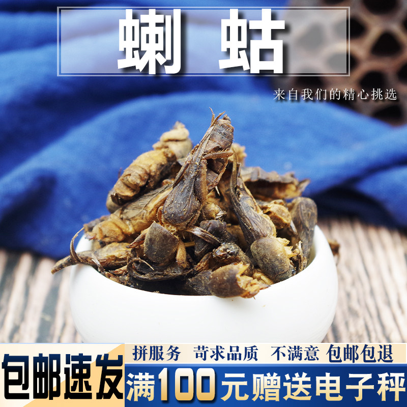 蝲蛄500克 中药材当季新货蝼蛄干 拉蛄 昆虫类中药材大全