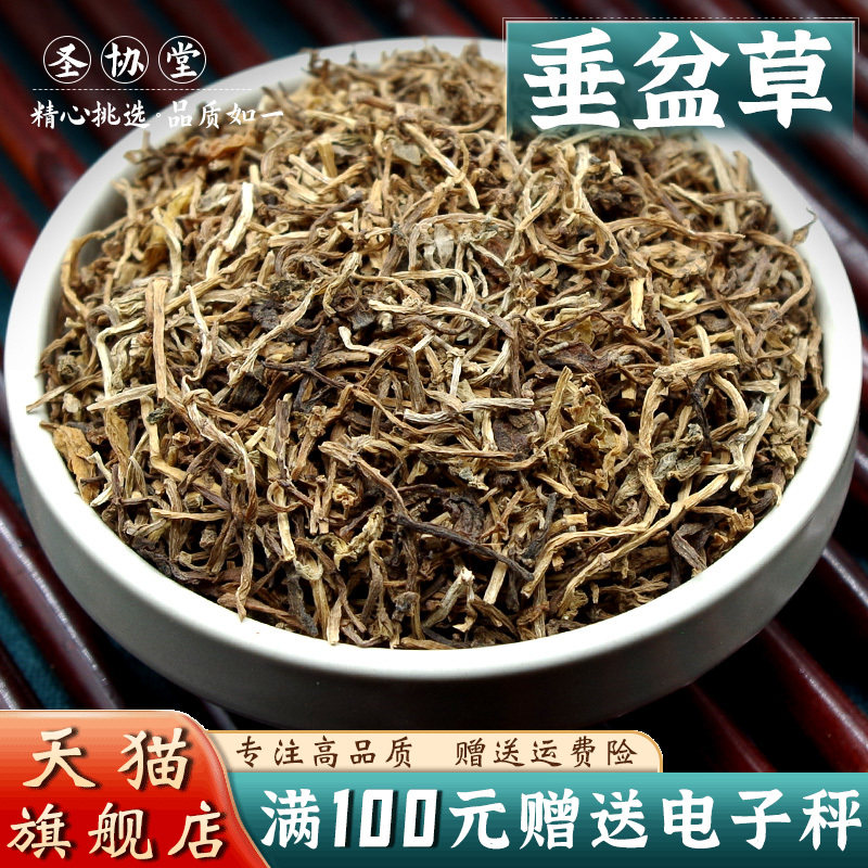 中药材垂盆草500克 当季新货人工挑选 别名狗牙半支狗牙瓣石指甲