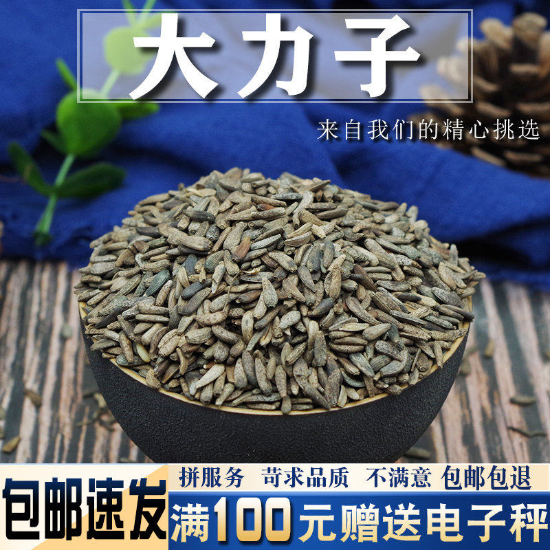 牛蒡子500克 中药材当季新货 大力籽 大力子牛蒡籽 大粒子