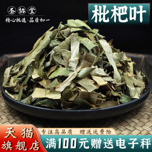 枇杷叶500克 当季新货无流散装干巴叶琵琶叶另有桑白皮淡竹叶