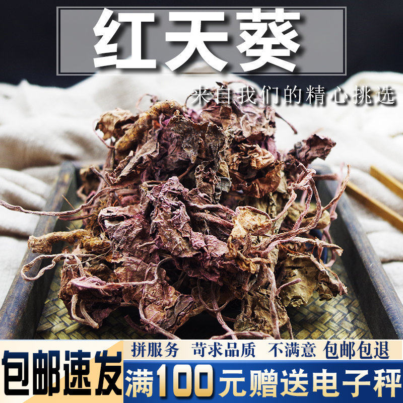 红天葵250克 中药材红叶龙虎叶红水葵散血子一点血散血丹一叶红
