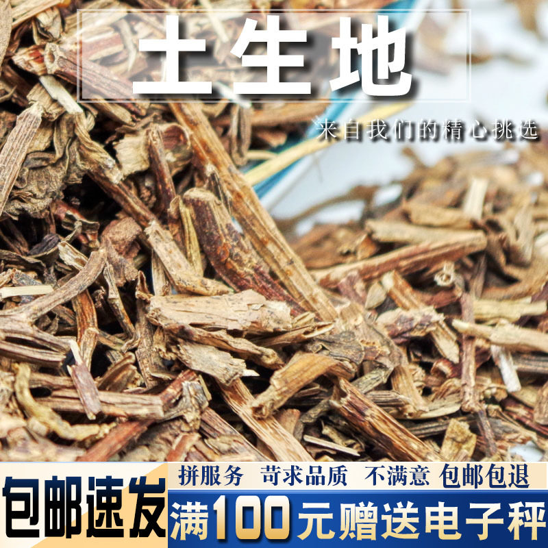 土生地 500克中药材当季新货 大肥牛 白背三七 白仔菜 散血姜