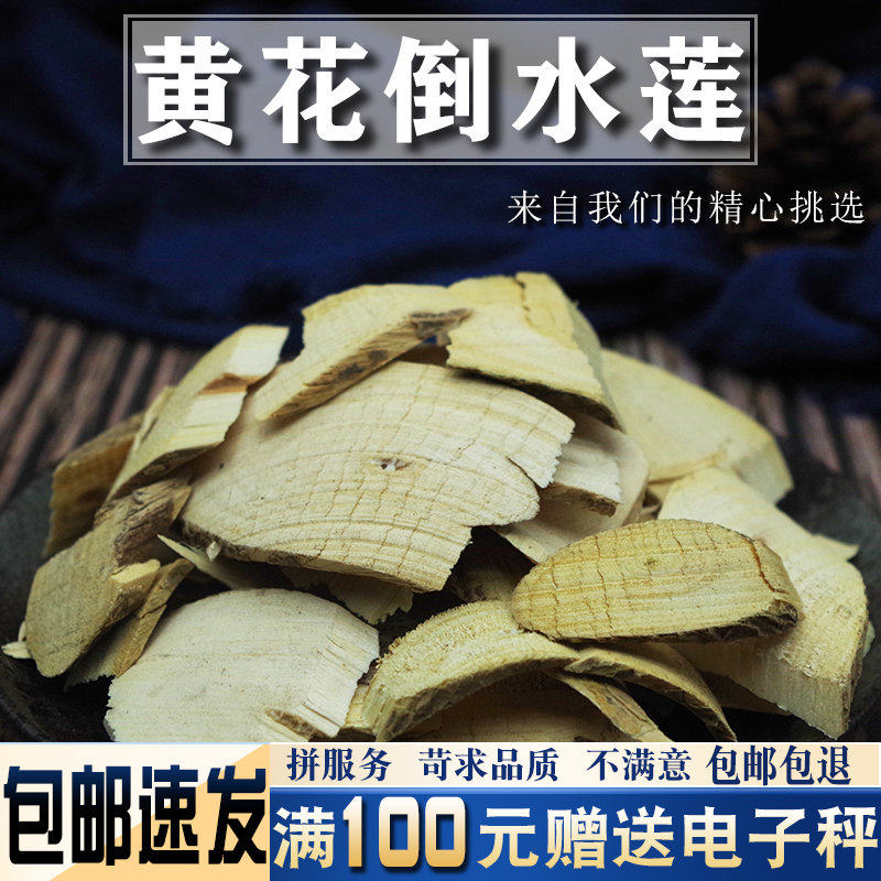 黄花倒水莲500克 中药材当季新货 观音串倒吊黄根月子水
