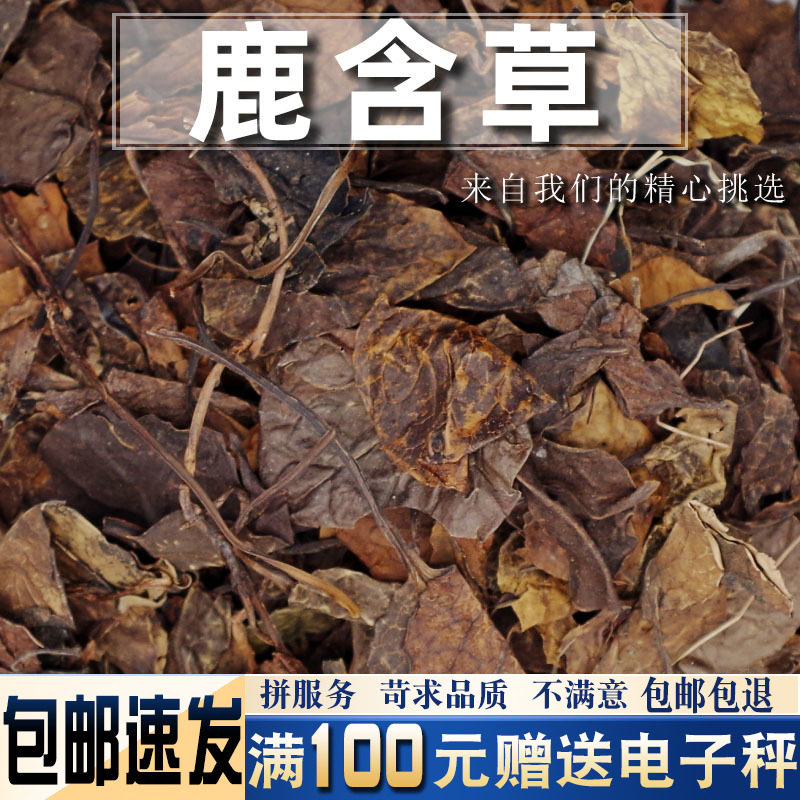 鹿衔草500克鹿晗草鹿含草中药材当季新货 鹿蹄草 鹿寿草