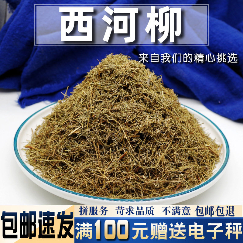 西河柳500克中药材当季新货山川柳三春柳西湖柳观音柳怪柳