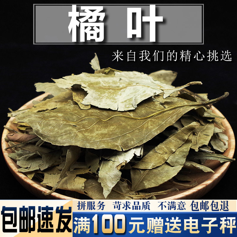 橘叶500克 中药材新货桔叶 金桔叶青桔叶 橘子叶 桔子叶
